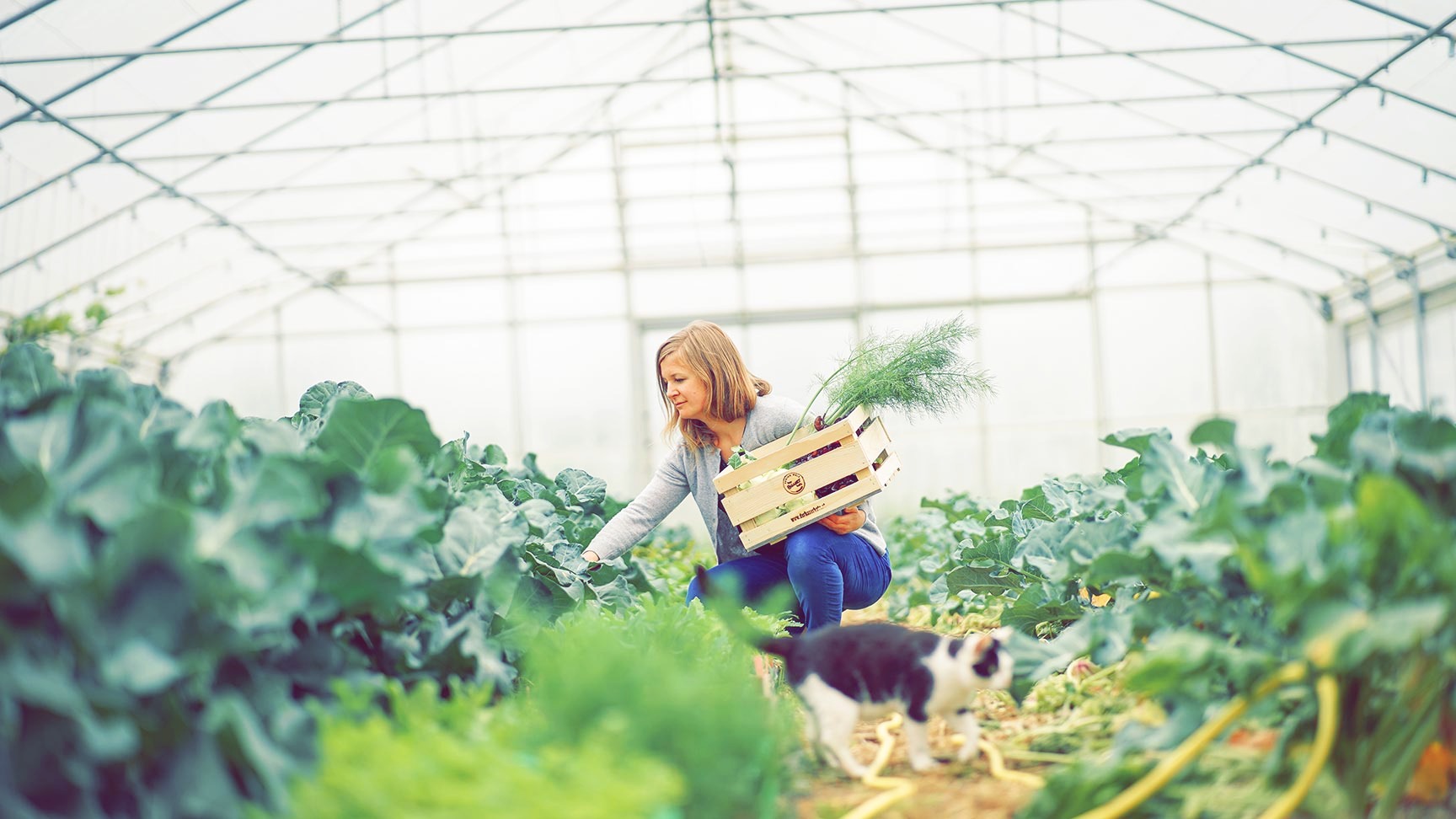 slide-leader-Die-Bäuerin-hat´s